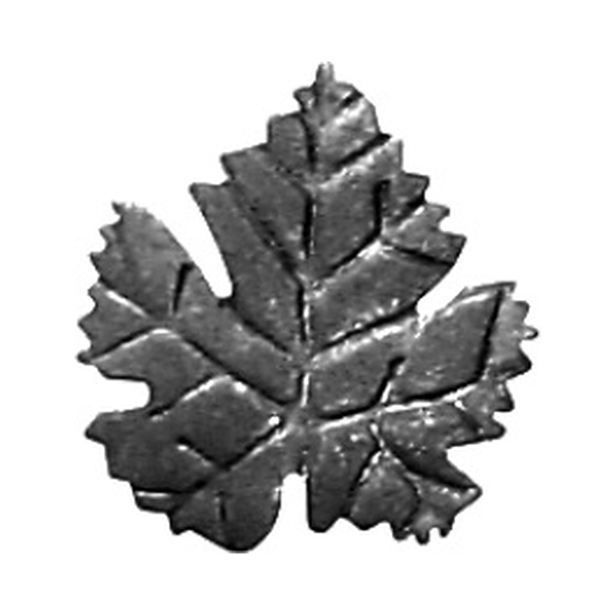 Hoja de maple 7.0 x 7.8 cms